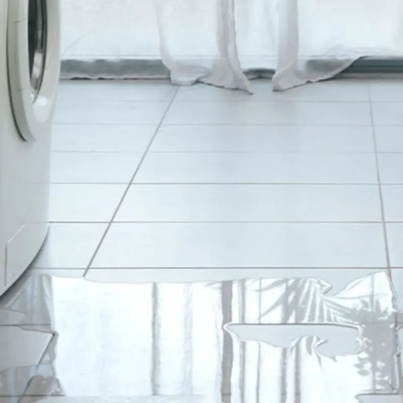 Appliance Leak Cleanup in Colona, IL
