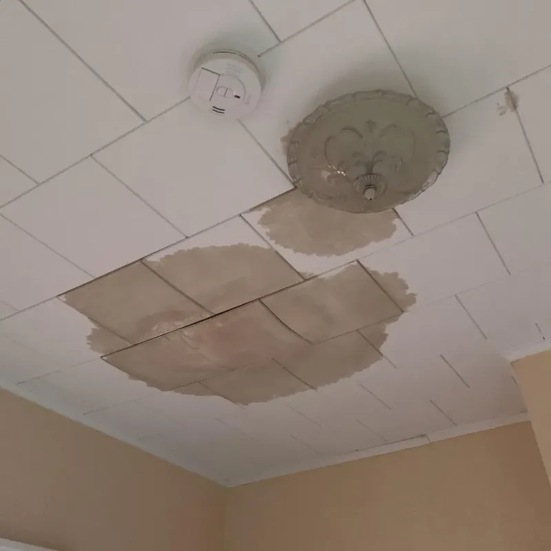 Ceiling Water Damage Repair in Colona, IL