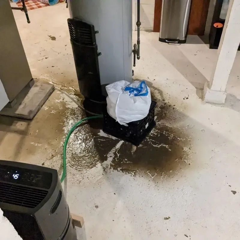Sewage Backup Cleanup Service in Colona, IL